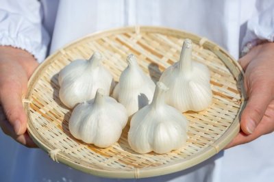 画像2: はちやのおすすめ餃子セット（4種類)【蜂屋食品】クール(冷凍) リニューアル