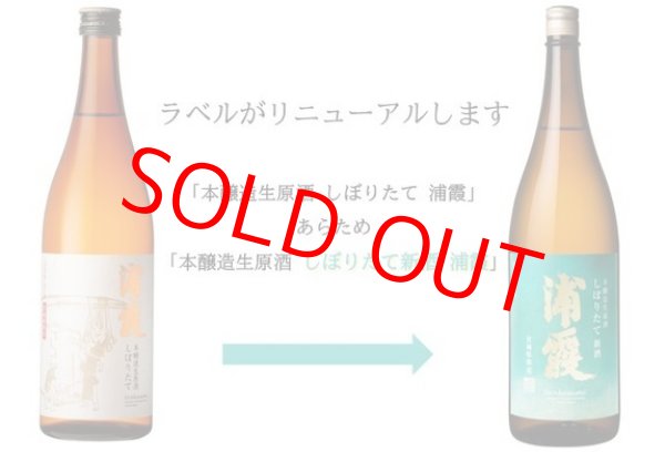 本醸造生原酒 しぼりたて 新酒 浦霞