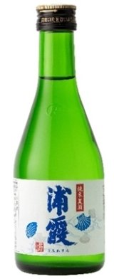 純米夏酒 浦霞 300ml【佐浦】季節商品・夏限定