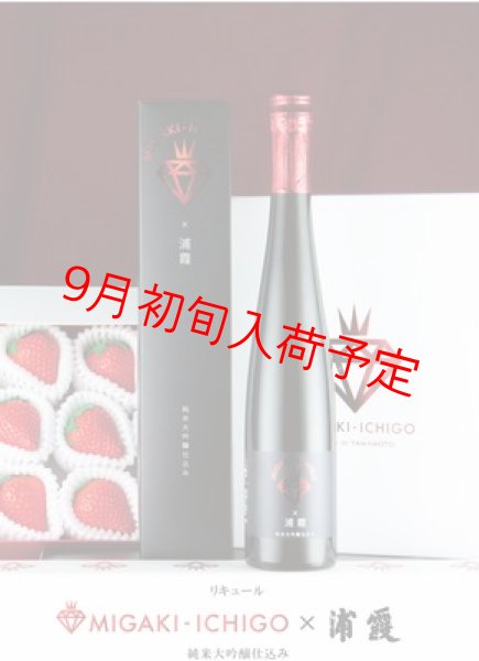 MIGAKI×浦霞