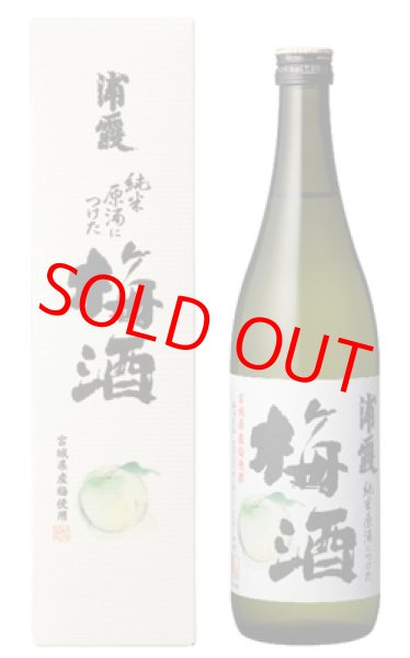 純米原酒につけた浦霞の梅酒